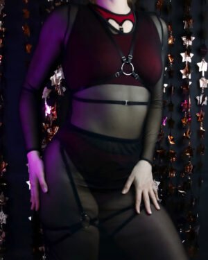 HeartBreaker Chest Harness