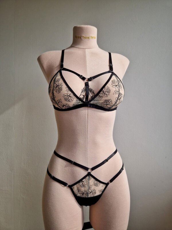 Phoenix Set