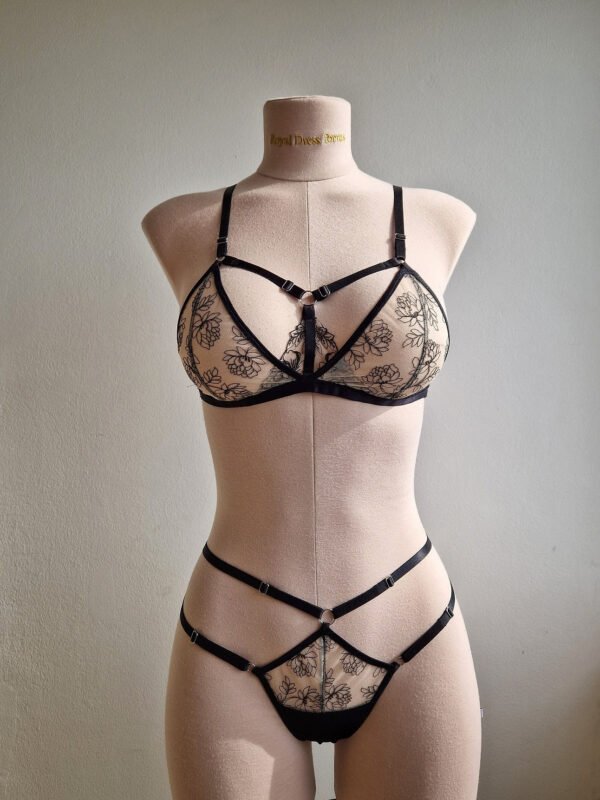 Phoenix Set - Image 5